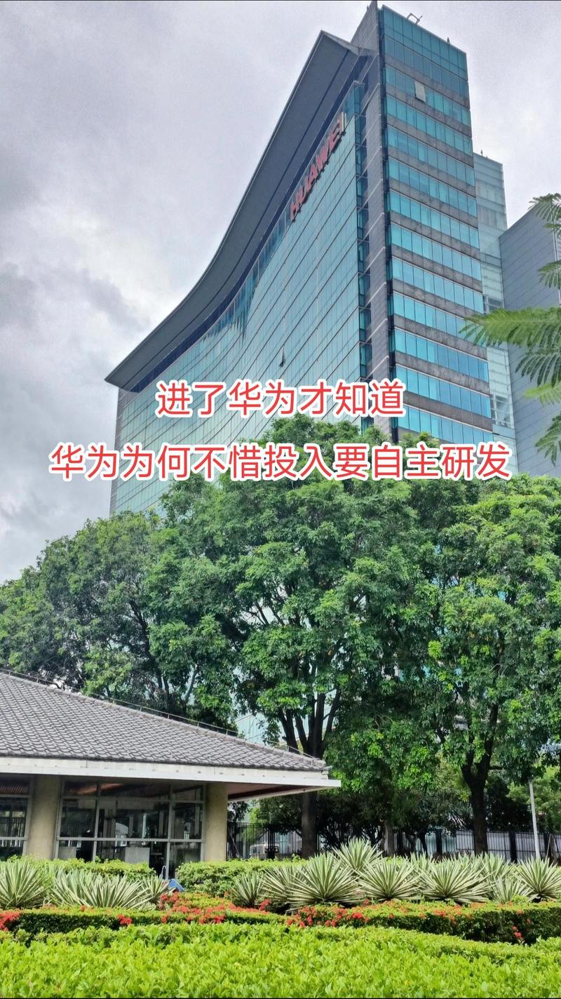 鑫蕾信息咨询工作室的抖音